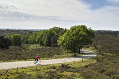 heuvelachtig gebied de Posbank. Op de afbeelding is ook een fietspad met fietser te zien.