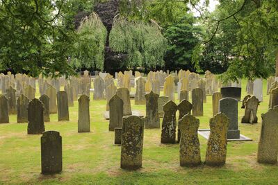 Een begraafplaats met tientallen, smalle en op elkaar lijkende grafmonumenten. De grafmonumenten zijn verweerd en er zit korstmos op.