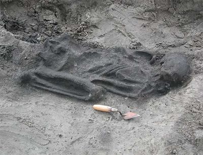 Een menselijk skelet, aangetroffen in Schipluiden-Harnaschpolder en gedateerd in het midden-neolithicum.