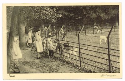 Een ansichtkaart uit 1941 van een hertenkamp. Het veld waar de herten op lopen is afgesloten met kissing gates. De bezoekers aaien en voeren de herten door dit hek. De ansichtkaart is sepia-kleur en op de kaart staat Zeist geschreven.