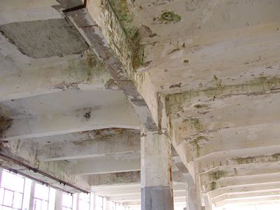 Een plafond binnen in een gebouw met betonskelet. Aan de zijkant staan de ramen.