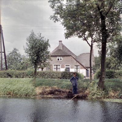 Een boerderij bij Noordeloos in Zuid-Holland, in 1958