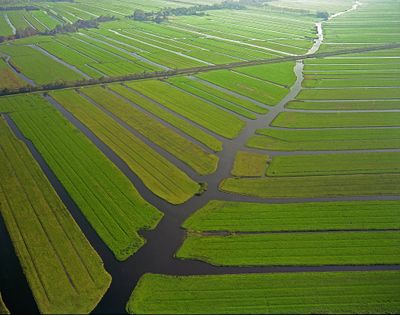 Luchtfoto van veervormige verkaveling in een polder.
