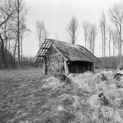 Een vervallen hertenhuisje. Het huisje is gemaakt van boomstammen en staat in een ruig grasgebied. Op de ene kant van het dak ligt geen stro meer. Op de achtergrond staan hoge kale bomen.De foto is zwart wit.