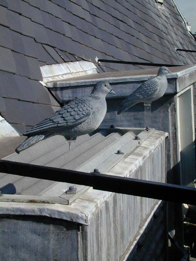 Plastic duiven op een dak.