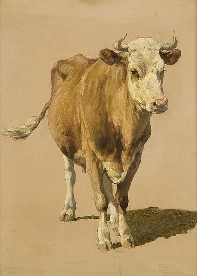J.H.L. de Haas, studie van een koe (1899), olieverf op papier, 38 x 25 cm