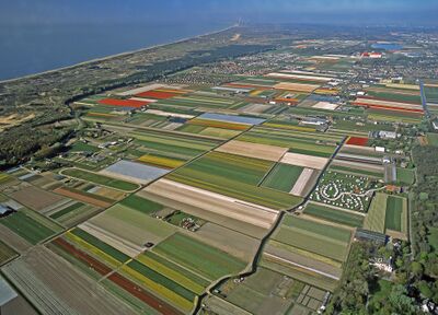 Luchtfoto van Noordwijkerhout.