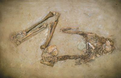 Skelet in situ - foto Eveline Altena
