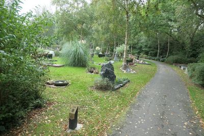 Beeld van een begraafplaats in het groen met verspreid liggende grafmonumenten.