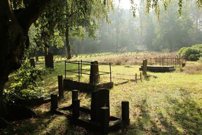 Begraafplaats bij psychiatrische inrichting Dennenoord in Zuidlaren