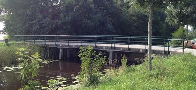Middelgrote brug over water bij Haskerveen. Daaromheen bomen en struiken.