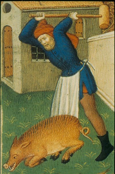 Een schilderij van een man die een varken slaat met een moker.