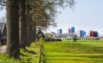 Skyline van de Uithof en Science Park in Utrecht. In de voorgrond een weiland met bomen erlangs.
