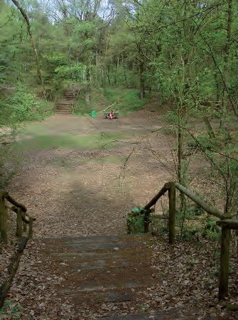 Foto van een leemkuil. In de voorgrond een houten trap naar beneden die naar de kuil leidt. In de achtergrond een andere trap die de kuil uitloopt. De kuil ligt tussen de bomen in het bos.