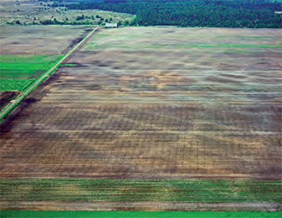 Luchtfoto van een akker waarin de sporen van celtic fields goed te zien zijn door middel van bodemverkleuring.