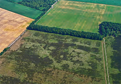 Luchtfoto van weilanden gescheiden door water, wegen en bomenrijen.