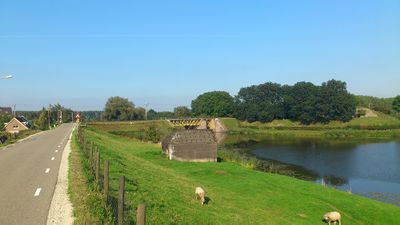 De Diefdijk. Over de dijk loopt een weg. Tegen de dijk aan staan schapen te eten. Rechts beneden ligt water. In de verte is een gele brug te zien.