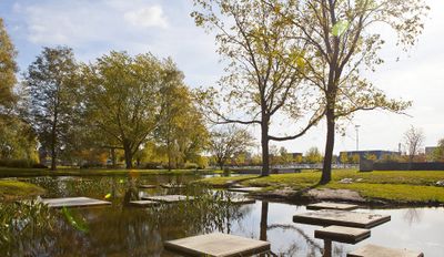 Het Thalenpark in Drachten. In de voorgrond een water met stepping stones en in de achtergrond bomen en bebouwing.