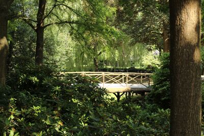In een groene omgeving loopt een brug over water.
