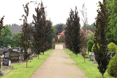Centraal hoofdpad op begraafplaats met aan weerzijden bomen