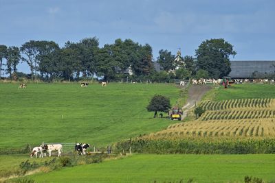 Plek in het Gaasterland. Te zien is een boerderij met weiland ervoor. In de wei staan koeien te grazen en tractoren rijden heen en weer.