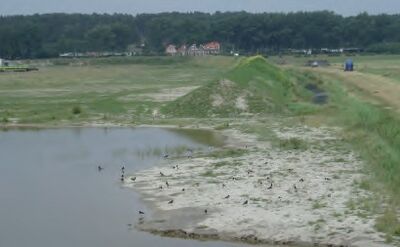 Foto van een dwarsdijk. In de voorgrond een plas water met vogels en in de achtergrond een bomenrij met daarvoor huizen.
