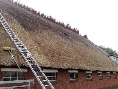 rieten kap van boerderij met links een ladder en bezem op het dak voor werkzaamheden