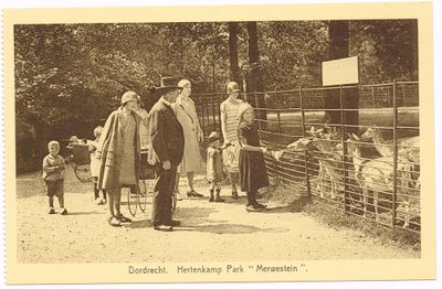 Een meisje voert herten op een hertenkamp door een ijzeren spijlenhek. Vier volwassenen kijken toe. Een vrouw heeft een kindje aan de hand. Er zijn nog een aantal andere kinderen. Op de kaart staat Dordrecht, Hertenkamp Park Merwestein. Het is een ansichtkaart uit ongeveer 1920 in sepia-kleuren.