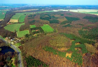 Luchtfoto van de St. Jansberg. Veel bomen.