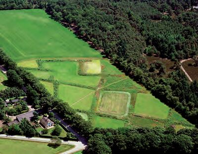 Luchtfoto van landschap dat is gevormd door celtic fields. Het weiland is omgeven door begroeiing en bebouwing.