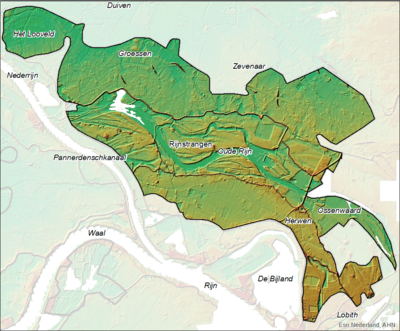 AHN hoogtebeeld van het Rijnstrangengebied, de dijken, de restgeul van de Oude Rijn en de kronkelwaardruggen zijn goed te herkennen.