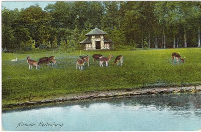 Een ingekleurde ansichtkaart uit ongeveer 1910 van een hertenkamp. Aan het water ligt een grasveld waar herten op lopen en grazen. Een hertenhuisje en bomen in bloei staan op de achtergrond.