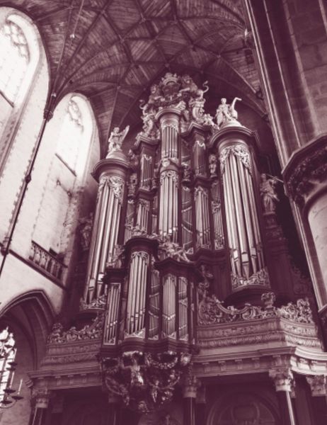 Bestand:20210128 Historische orgels 7. Muller orgel.jpg