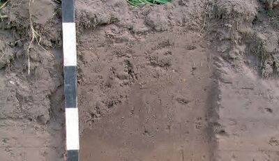 Foto van een opgraving, met een aarden wand en een meetlat