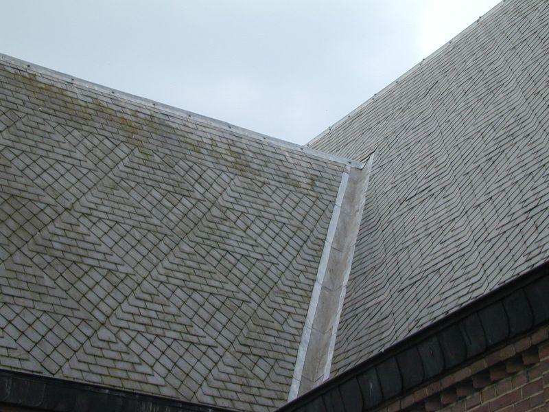 Bestand:200406 Twee daken met lei met verschillende patroonvormen.jpeg