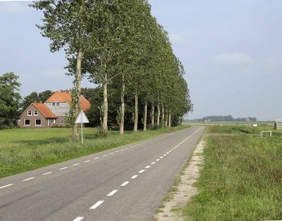 Foto van lange rechte weg met bomenrij links en boerderij