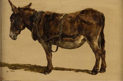 J.H.L. de Haas, Studie van een ezel (1899), olieverf op papier, 31 x 47 cm