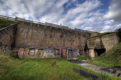 Muur van historisch fort met graffiti en wildgroei ervoor.