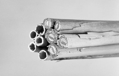 Zwart-wit foto van verschillende soorten doorgesneden rietstengels.