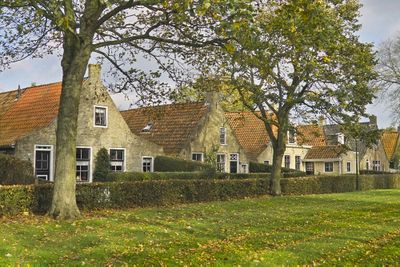 Huizen op Schiermonnikoog.