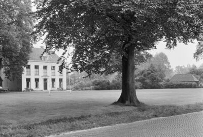 Zwart-witfoto met links een wit huis met twee verdiepingen en een dubbel schilddak. In de voorgrond staat een grote boom in een grasveld.