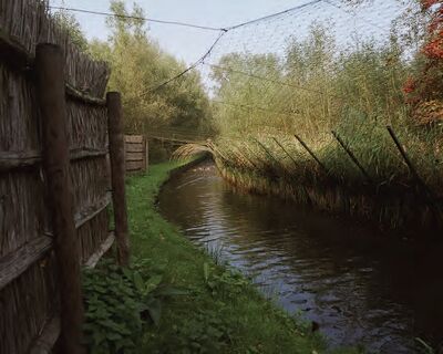 Foto van Vangpijp van een eendenkooi. Over het watertje hangt een net en aan weerszijden van het water is riet en ander soort begroeiing te vinden.