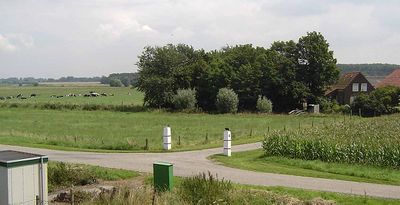 Foto van groene velden met een weg en een groep bomen