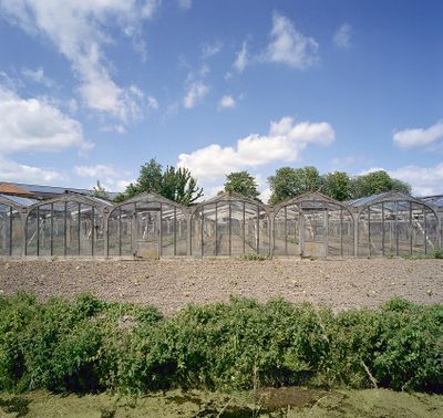 Betonnen kassen uit de glastuinbouw op landbouwgrond.