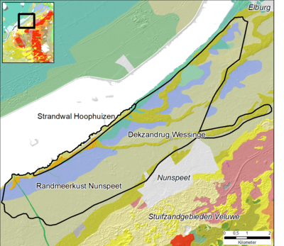 Fragment van de Geomorfologische Kaart van Nederland (2022) van het gebied. De groengele ruggen zijn de dekzandruggen, paars is de veenvlakte, de zandige strandwallen langs de rand van het Veluwemeer zijn oranjegeel, de kleiige groenig.