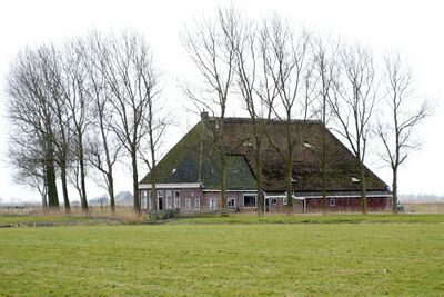 Foto van een stelpboerderij in het landschap met een rij bomen ervoor.