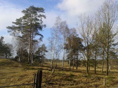 Natuurgebied Drents-Friese Wold. In de voorgrond een hekje waarachter bomen te zien zijn op glooiende heuvels.